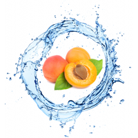 Organic Apricot Onativ' P Cosmetic