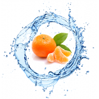 Organic Mandarin Onativ' NP Cosmetic