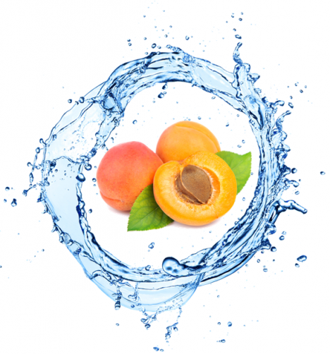 Organic Apricot  Onativ' NP Cosmetic