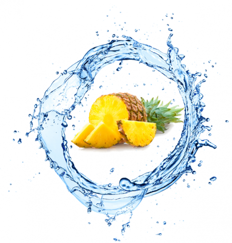 Organic Pineapple Onativ' P Cosmetic